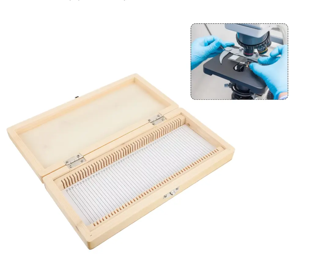 (Bois)Coffret de Rangement pour Préparations Microscopiques 